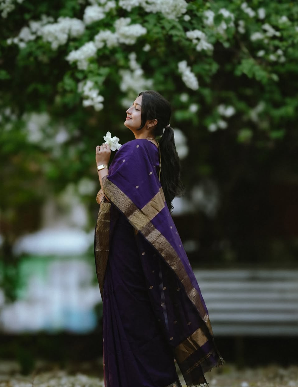 Violet - Silk cotton Handloom Saree