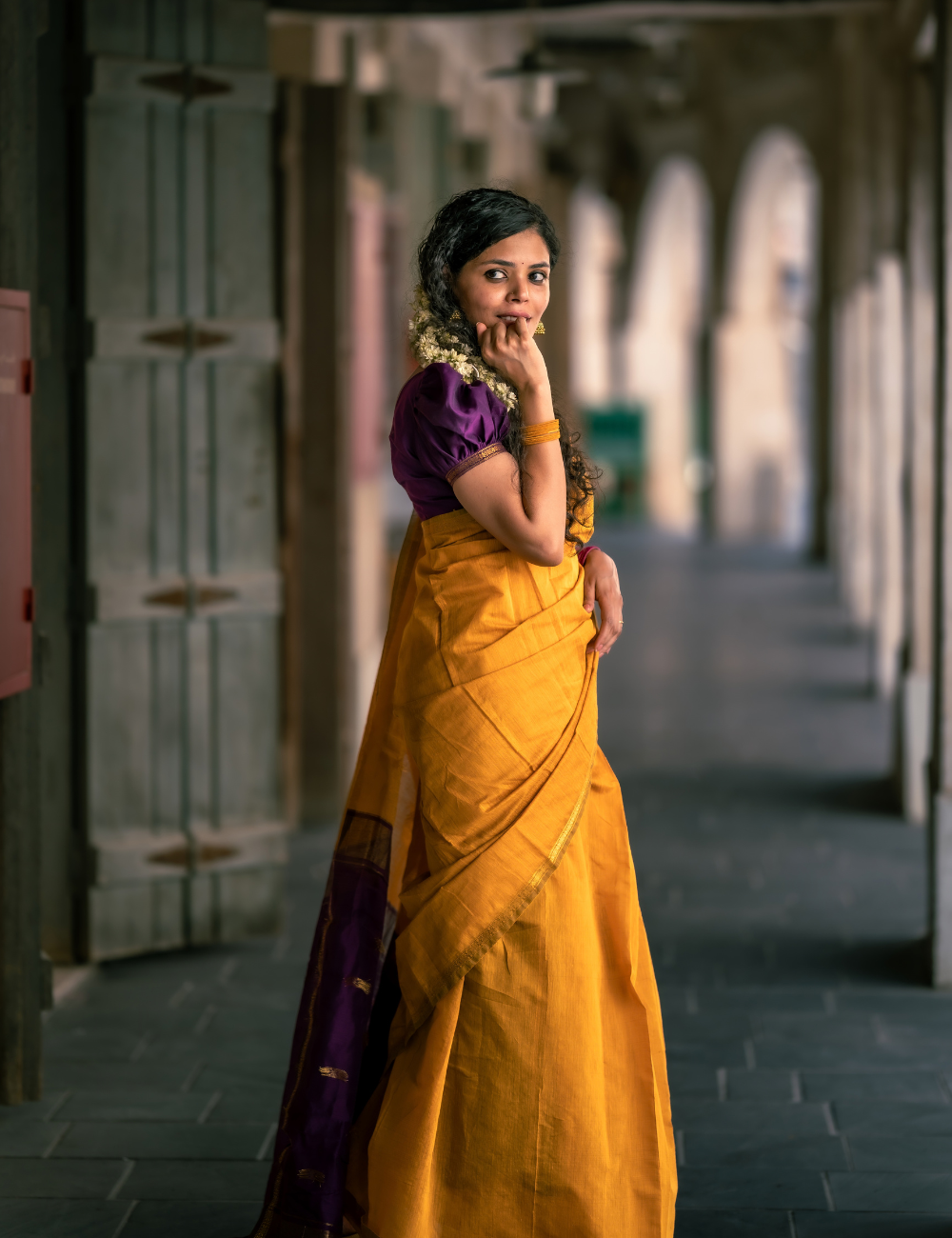 Yellow with Violet - Silk cotton saree