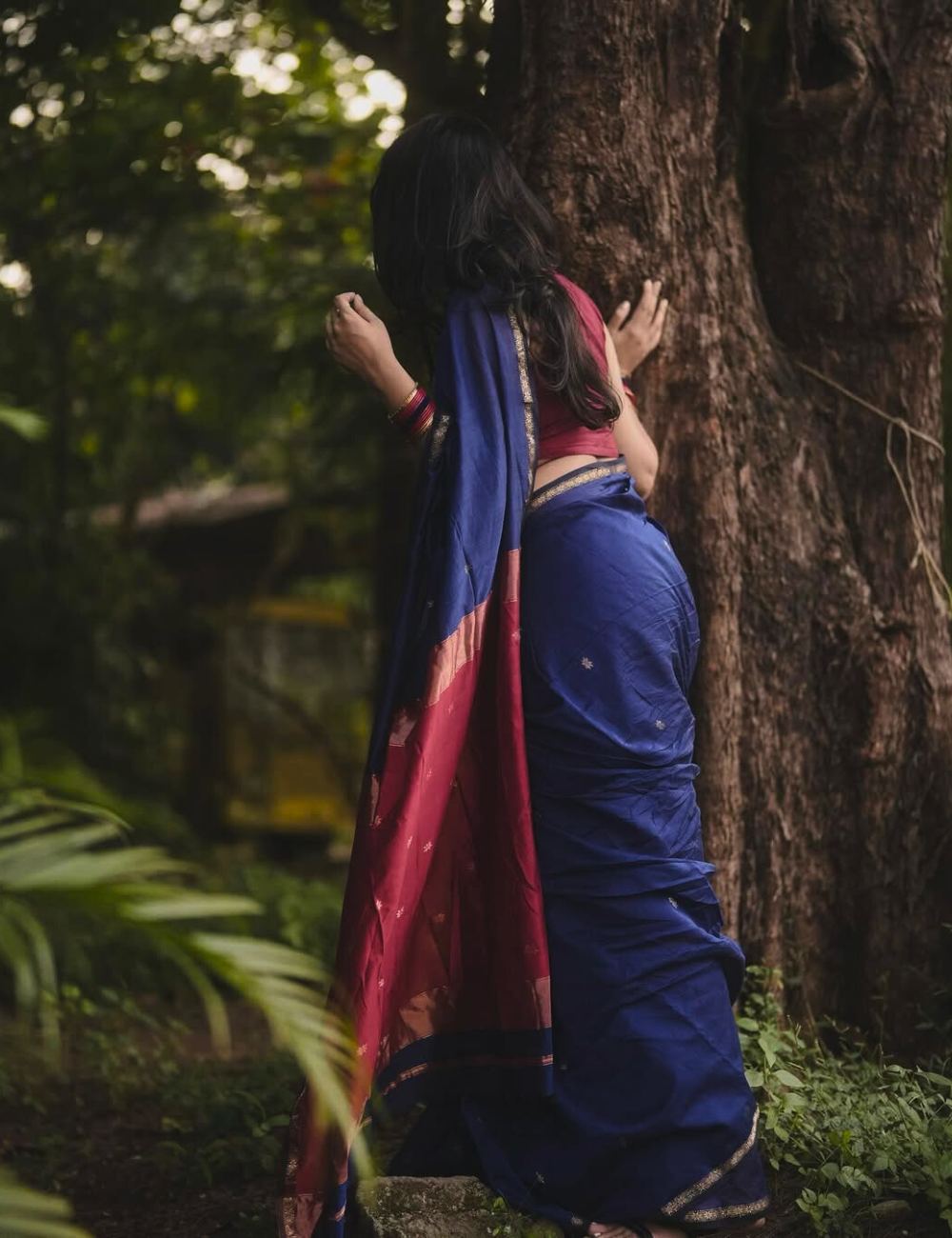 Blue - Silk cotton Handloom Saree