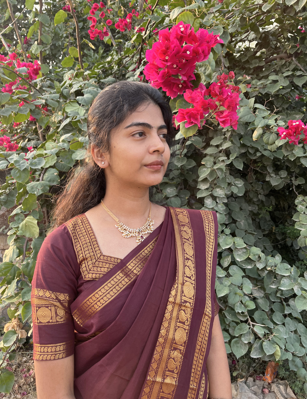 Coffee Brown Kanchi Cotton Saree