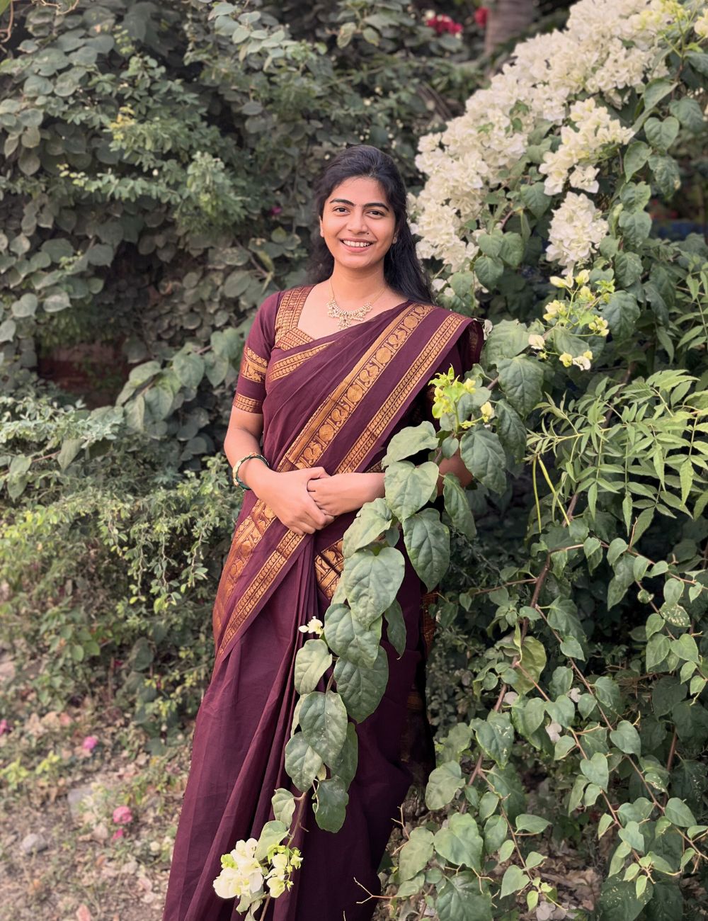 Coffee Brown Kanchi Cotton Saree