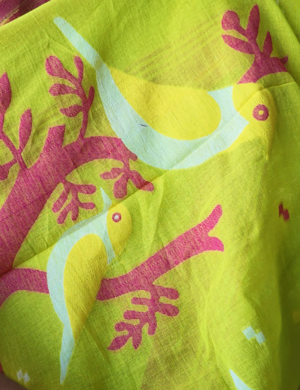 Neon Dream | Handloom Jamdhani saree