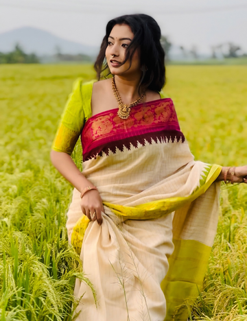 Lime Green & Rani Pink - Sungadi Cotton Saree