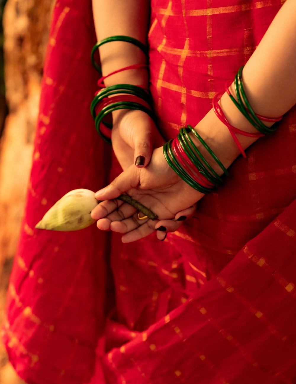 Red Sungadi Cotton Handloom Saree