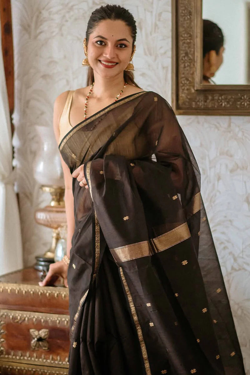 Black - Silk cotton Handloom Saree