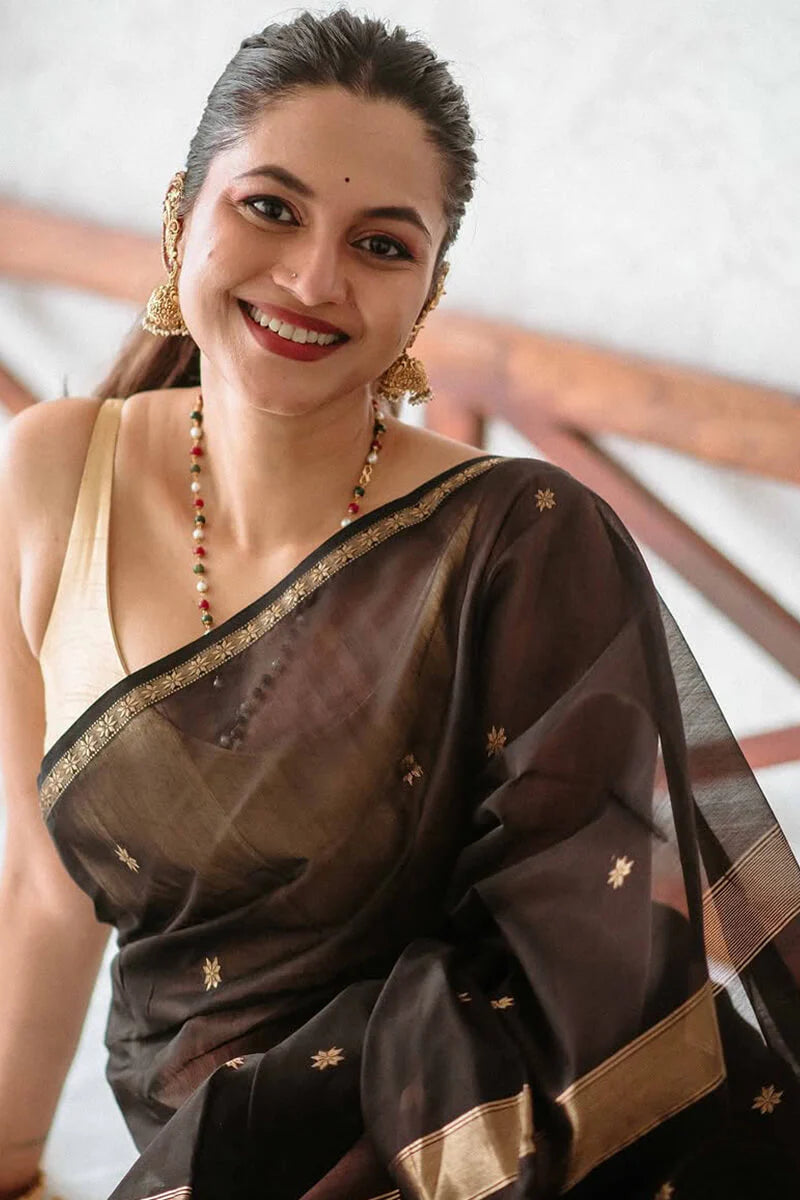 Black - Silk cotton Handloom Saree