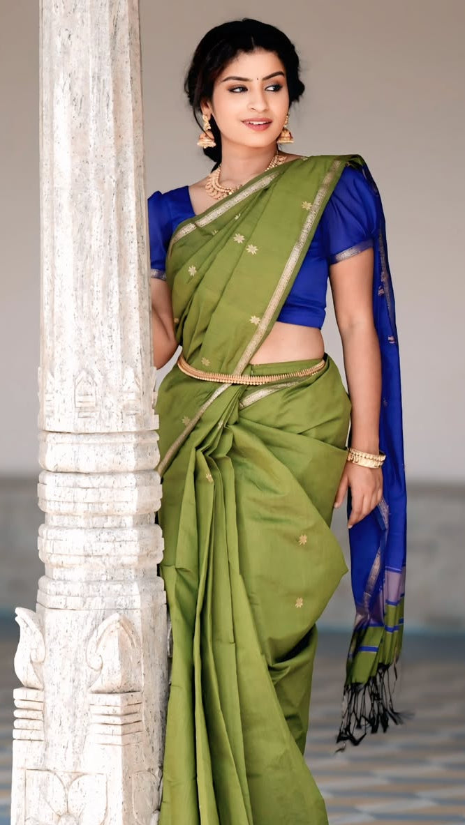 Light Green and Blue - Silk cotton Handloom Saree