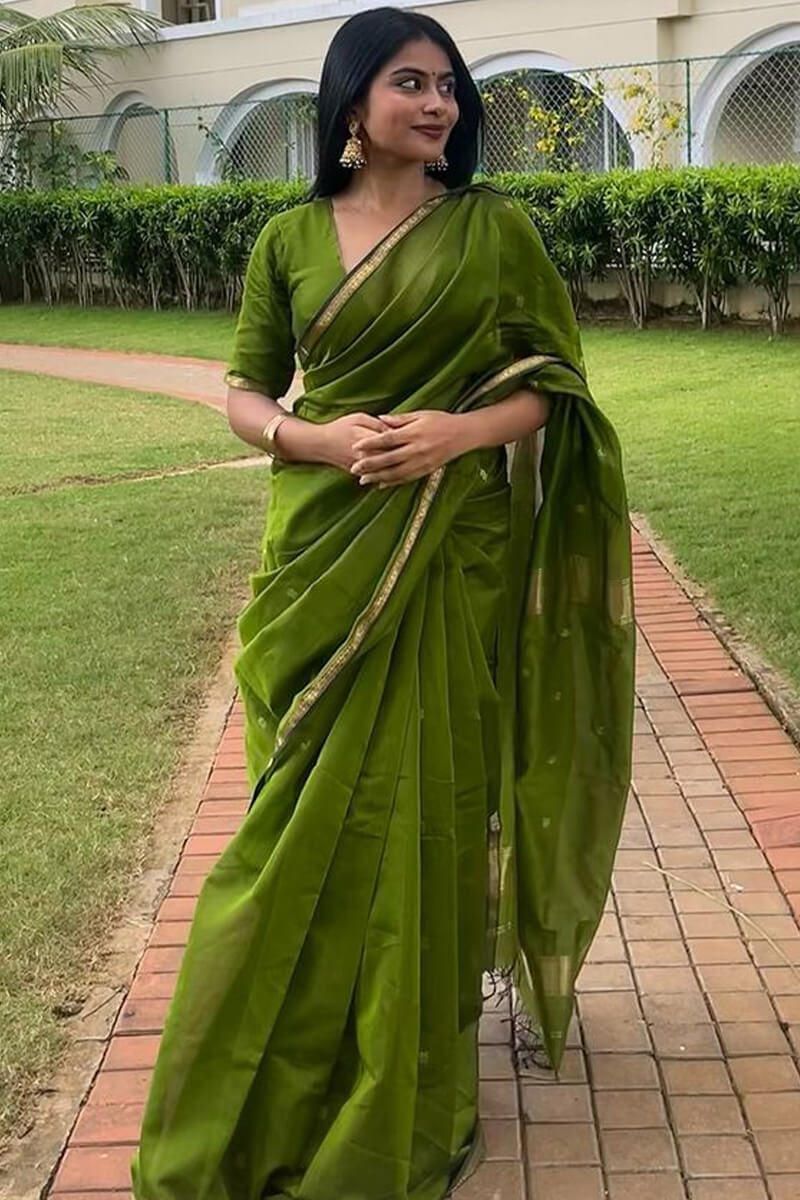 Light Green - Silk cotton Handloom Saree