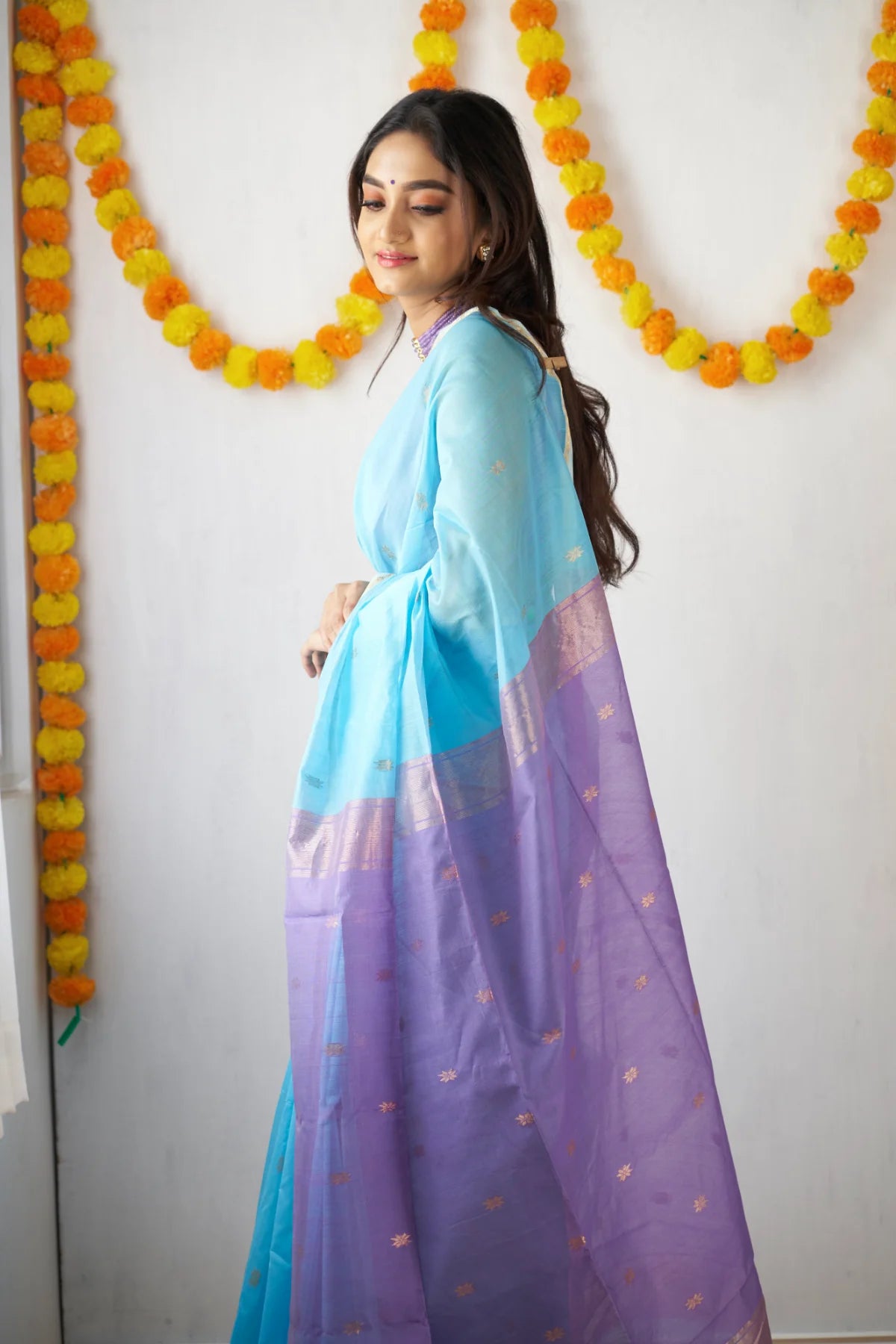 Sky Blue and Lavender - Silk cotton saree